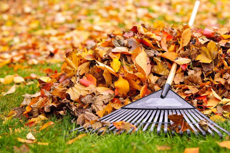Seasonal Yard Maintenance Tools
