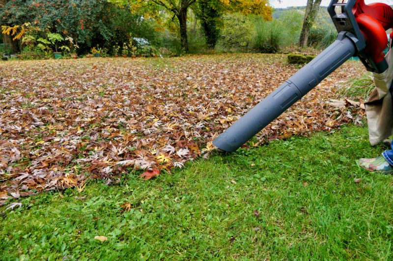 Leaf Vacuuming Equipment in Action