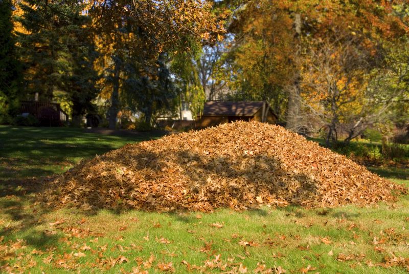 Autumn Landscape with Fallen Leaves